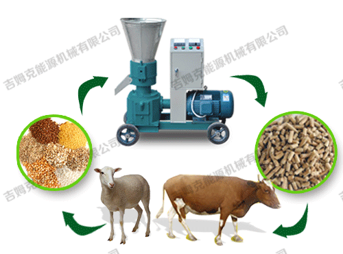 顆粒機(jī)、動物、顆粒