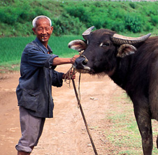 小型飼料顆粒機,農(nóng)民圓夢！